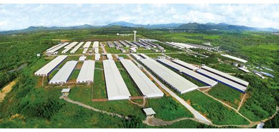 豬場建設中最關鍵環節—通風系統設計