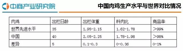 2016年中國肉雞養殖行業研究分析報告
