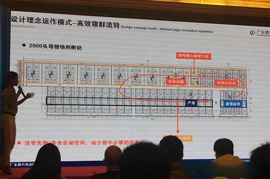 我公司領導赴廣東德興牧業生态豬場參觀學習