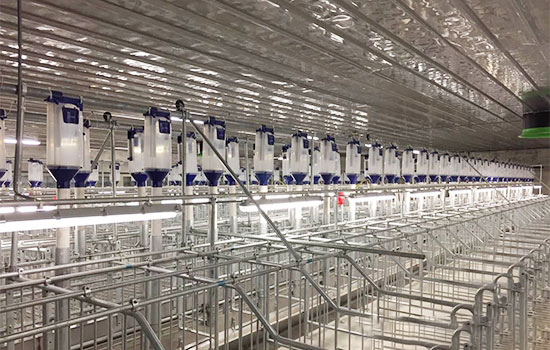 我公司領導赴廣東德興牧業生态豬場參觀學習