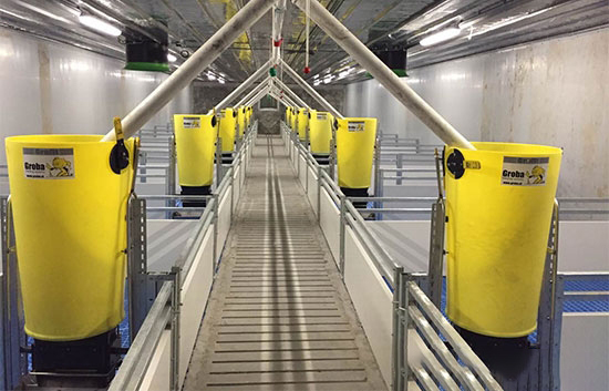 我公司領導赴廣東德興牧業生态豬場參觀學習