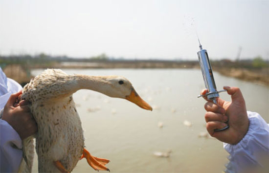 關于調整完善動物疫病防控支持政策的通知
