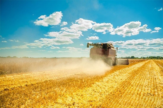 農業部部長韓長賦對國家現代農業示範區建設提出明确要求