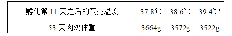 孵化溫度過高及其對肉雞生長性能的影響