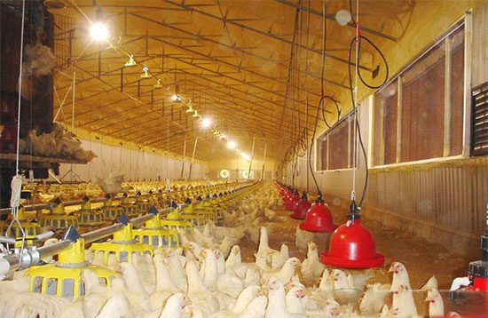 水簾蒸發降溫系統的原理及使用