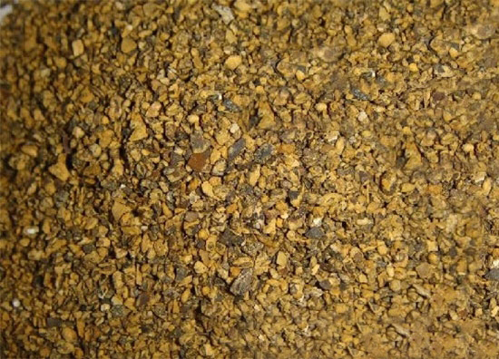 棉籽粕不适用于仔豬、母豬