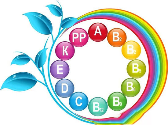 肉雞補充維生素的幾個誤區