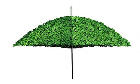 政策性家禽、生豬保險試點工作鋪開大部分保費由政府補貼