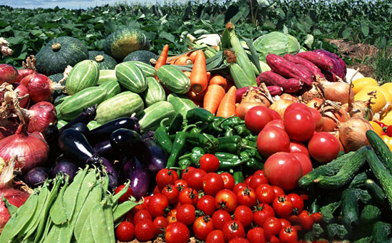 農業部積極推動修訂《農産品質量安全法》及配套法規