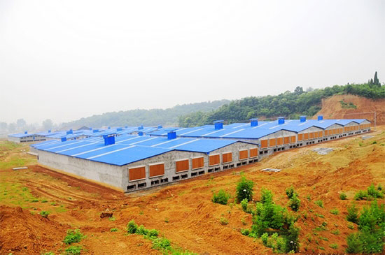 辦個養豬場要走的流程？用地申請書怎麼寫？