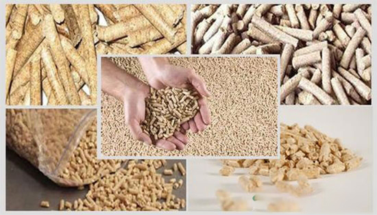 用顆粒飼料喂豬簡便還可避免豬擇食