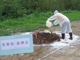 2020年試點縣病死畜禽基本實現無害處理