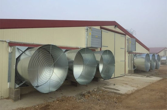 空氣過濾系統在家禽生産中的應用