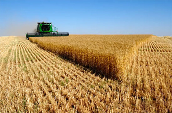 解讀《國家農業可持續發展試驗示範區建設方案》