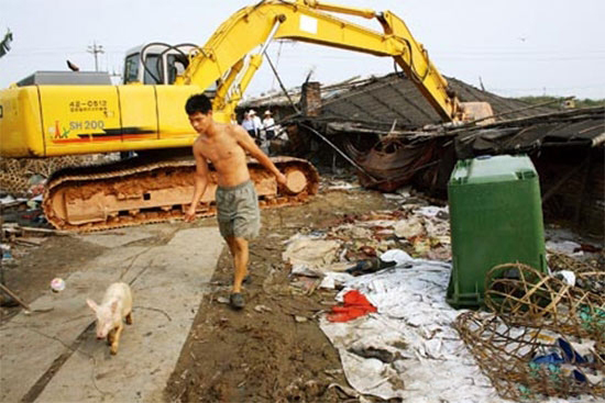 各地豬場拆遷補償大全