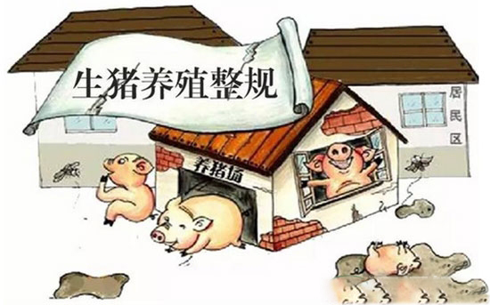 山東2017年底前完成禁養區内養殖場戶關閉或搬遷