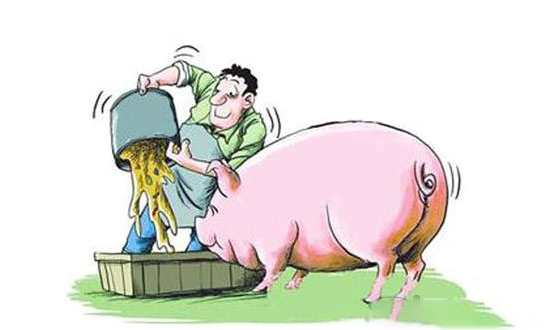 未來5年養豬政策都有啥？