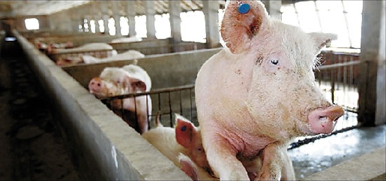 山東、廣東計劃2017年有多少養殖戶将退出？