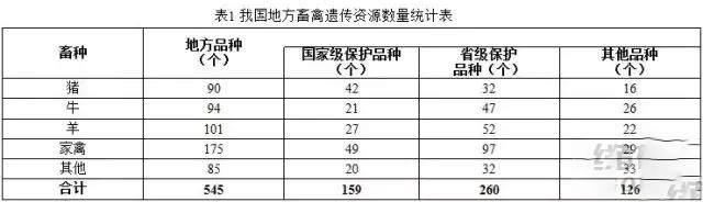 “十三五”規劃中重點保護的那些生豬品種