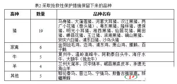 “十三五”規劃中重點保護的那些生豬品種