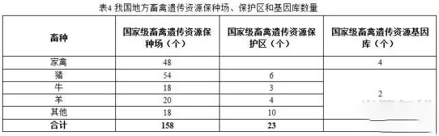 “十三五”規劃中重點保護的那些生豬品種
