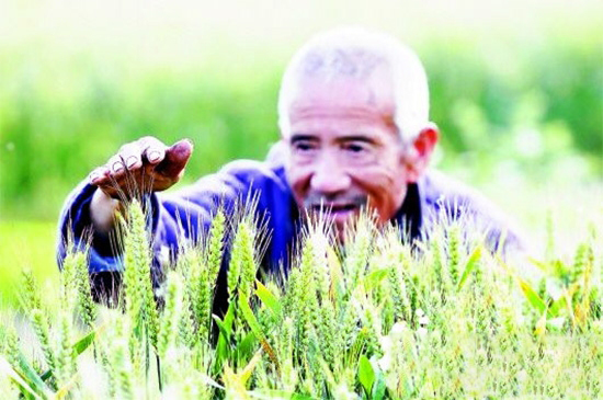 2017年政策将扶持哪些農業項目？