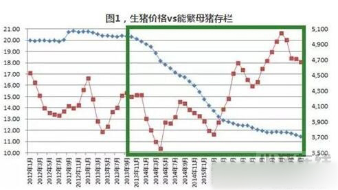 禁養政策和新建項目的跑步競賽