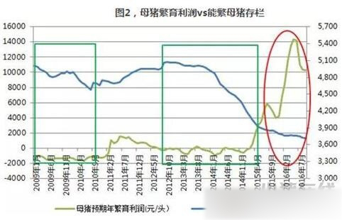禁養政策和新建項目的跑步競賽