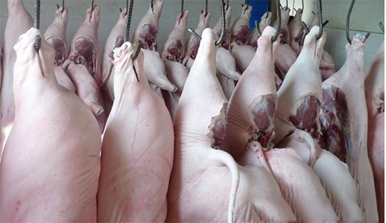 旺季還未到來 生豬上漲的勢頭要大于豬肉