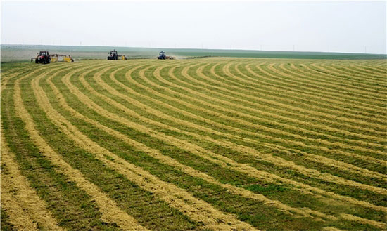 種養結合成為補貼熱點
