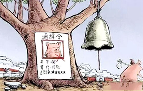 禁養風暴，臨近年底，你的豬場可安好？