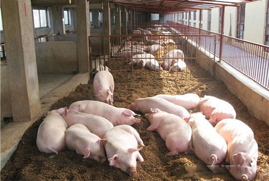 預計近期會有更多的廠家繼續漲價