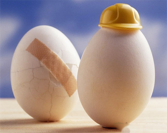 為“省”錢,蛋雞養殖你的勝算幾何?