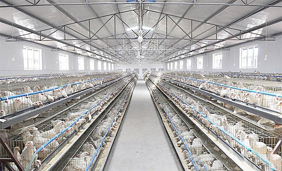 養殖業上的幾大禁忌