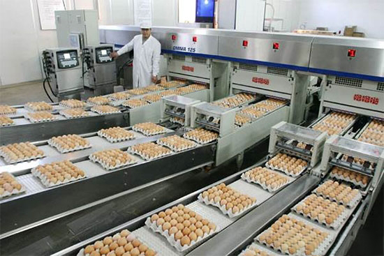 專家呼籲制訂保潔蛋國家強制标準