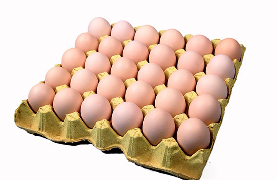 雞蛋供給日趨偏緊 雞蛋期貨行情可期