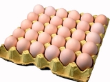 雞蛋供給日趨偏緊 雞蛋期貨行情可期