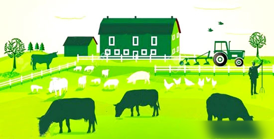 農業部印發《2017年畜牧業工作要點》