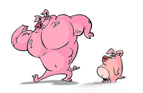 韓長賦：繼續嚴打“瘦肉精”發現一起打擊一起