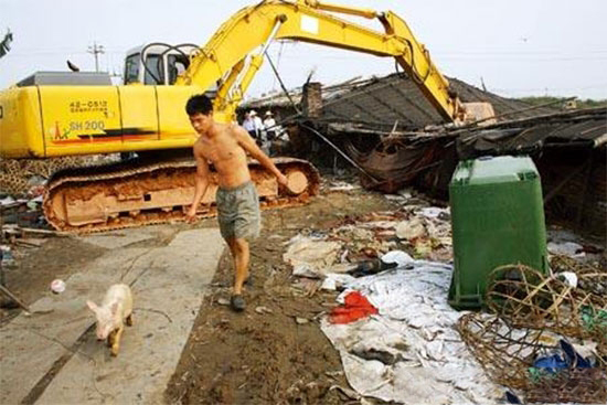 做到這四點，豬場被拆也不怕！