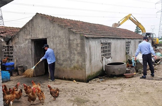 山東出台規模養殖标準 不規範養殖場區今年要關閉