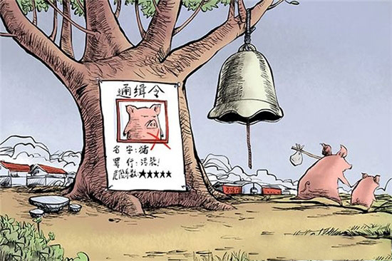 禁養令頻頻落地 小散戶該何去何從？