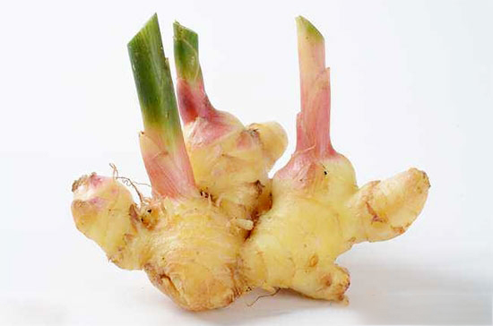 養豬巧用生姜催肥止瀉消積食
