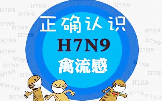 H7N9頻現網絡 專家:H7N9非禽流感系流感病毒