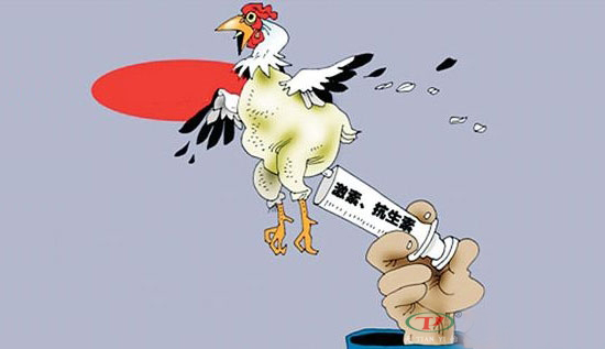 農業部發文将嚴厲打擊違法使用獸用抗菌藥