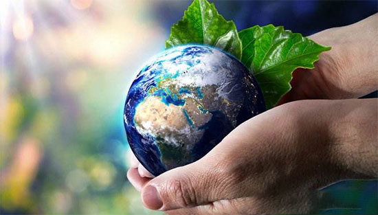 環保稅馬上就要來了 養雞戶需要交多少？