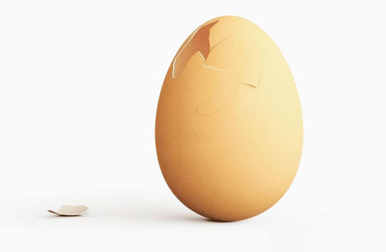 破損蛋的産生原因與應對措施