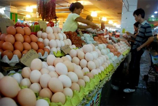 山東蛋價跌破成本線再創近年新低