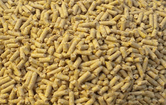 顆粒飼料使用的六個禁忌