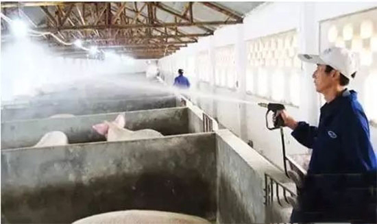 豬場消毒的必要性與方法